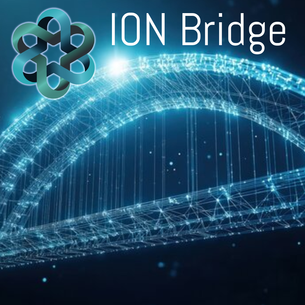 ION Bridge Icon